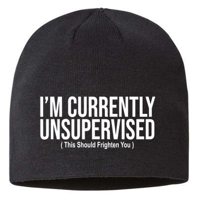 Im Currently Unsupervised This Should Frighten You Funny Sustainable Beanie