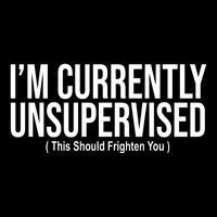Im Currently Unsupervised This Should Frighten You Funny 16 in Basic Backpack