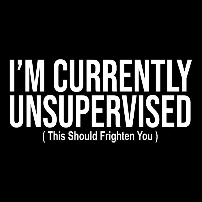 Im Currently Unsupervised This Should Frighten You Funny 16 in Basic Backpack