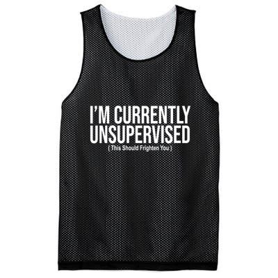 Im Currently Unsupervised This Should Frighten You Funny Mesh Reversible Basketball Jersey Tank