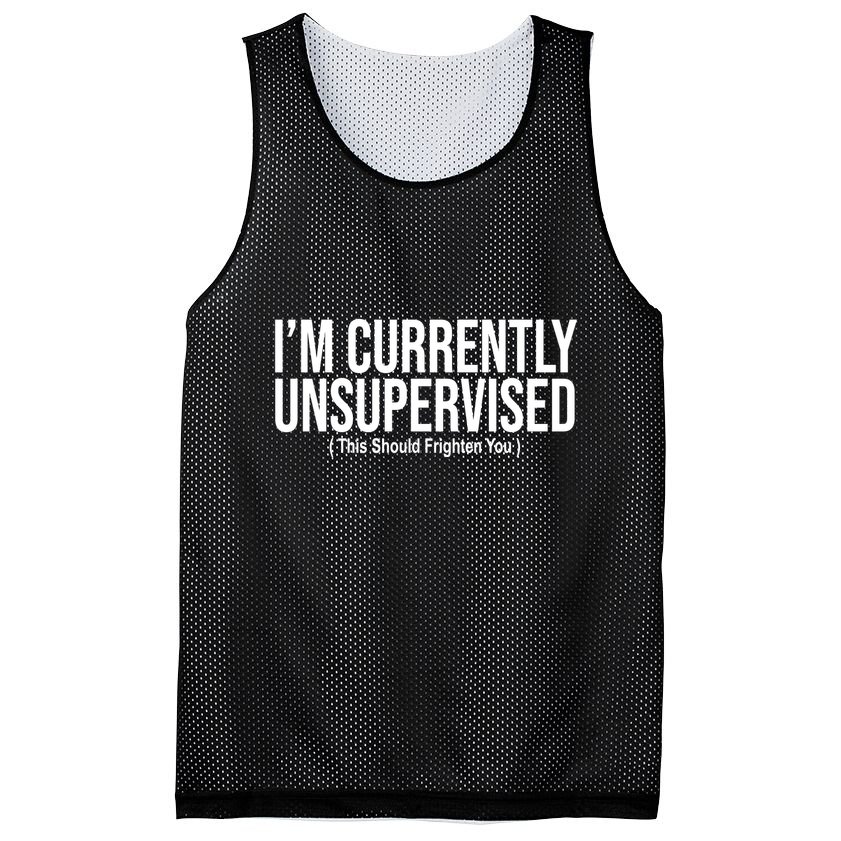Im Currently Unsupervised This Should Frighten You Funny Mesh Reversible Basketball Jersey Tank