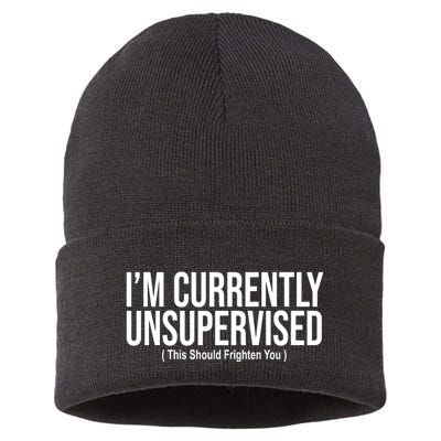 Im Currently Unsupervised This Should Frighten You Funny Sustainable Knit Beanie