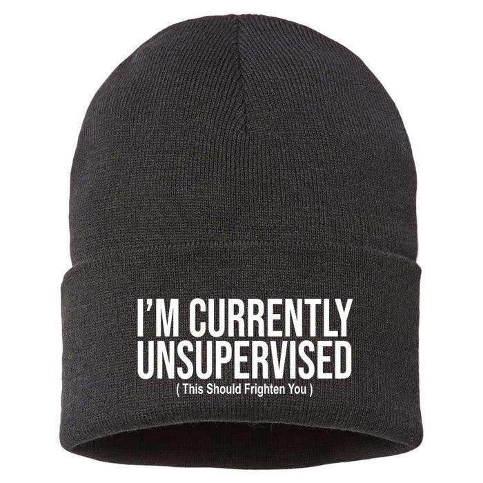 Im Currently Unsupervised This Should Frighten You Funny Sustainable Knit Beanie