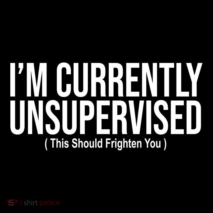 Im Currently Unsupervised This Should Frighten You Funny Sustainable Knit Beanie