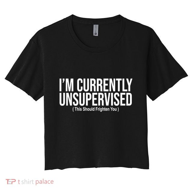 Im Currently Unsupervised This Should Frighten You Funny Crop Top
