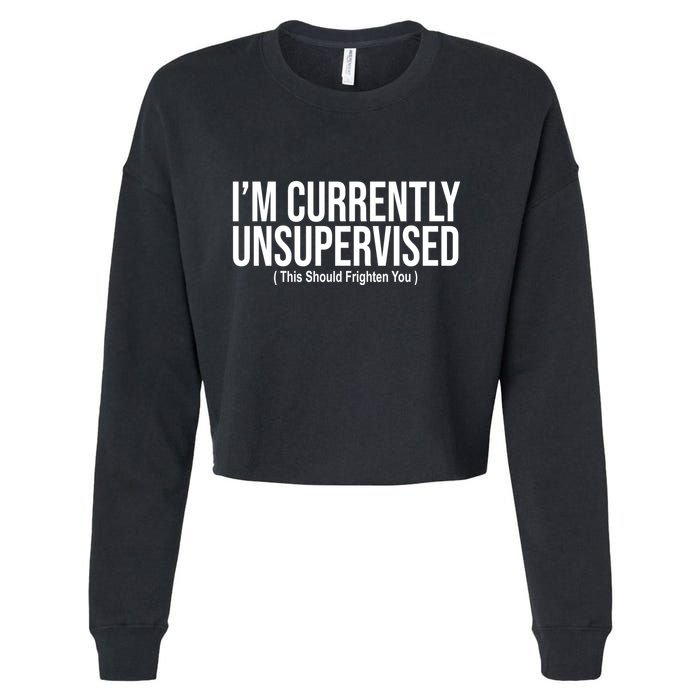 Im Currently Unsupervised This Should Frighten You Funny Cropped Pullover Crew