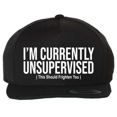 Im Currently Unsupervised This Should Frighten You Funny Wool Snapback Cap