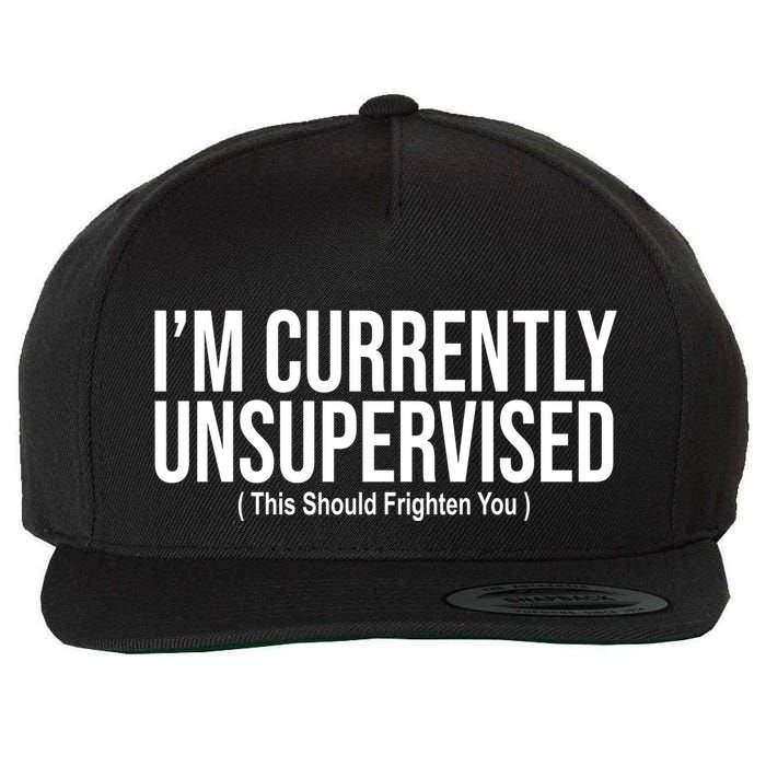 Im Currently Unsupervised This Should Frighten You Funny Wool Snapback Cap