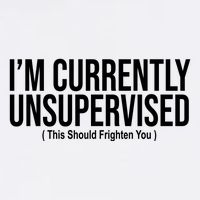 Im Currently Unsupervised This Should Frighten You Funny Garment-Dyed Sweatshirt