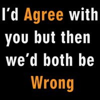 I'd Agree With You But The We'd Both Be Wrong Wool Snapback Cap