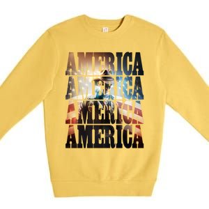 Independence Day 4th Of July Us American Flag Patriotic Cool Gift Premium Crewneck Sweatshirt