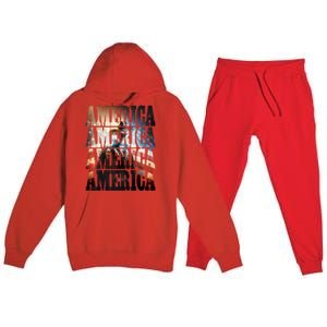 Independence Day 4th Of July Us American Flag Patriotic Cool Gift Premium Hooded Sweatsuit Set