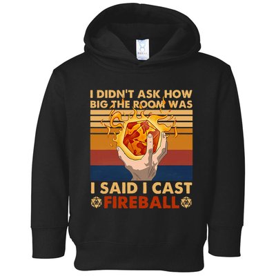 I Didnt Ask How Big The Room Was I Said I Cast F.I.R.E.B.A.L.L Toddler Hoodie