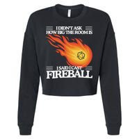 I Didnt Ask How Big The Room Is F.I.R.E.B.A.L.L Cropped Pullover Crew