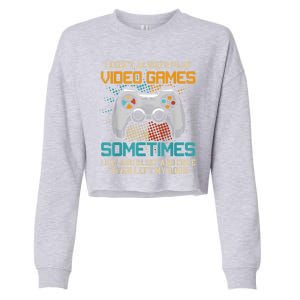 I Dont Always Play Video Games Gaming Humor Funny Gamer Cropped Pullover Crew