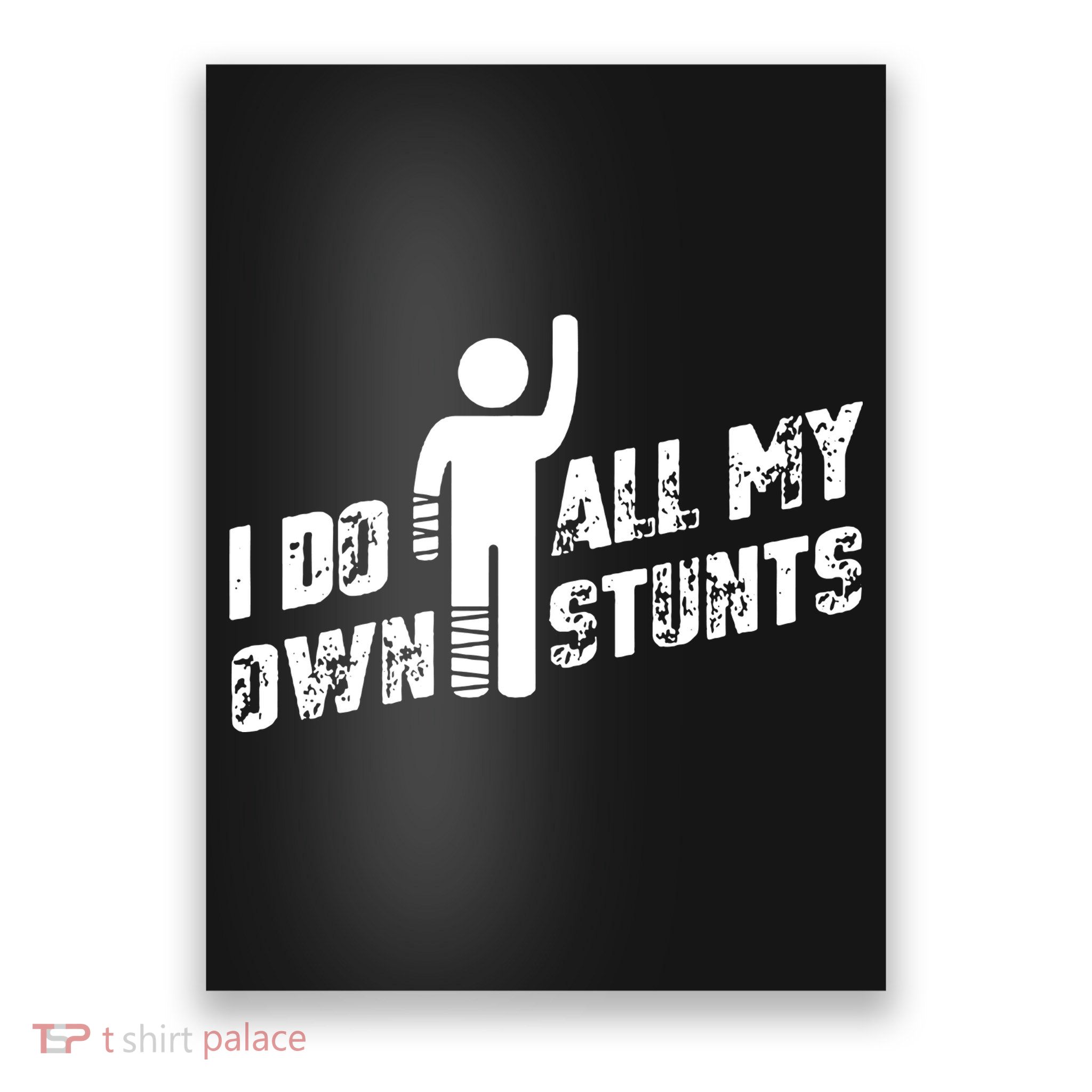 I Do All My Own Stunts Poster