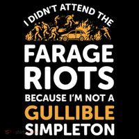 I didn’t attend the Farage Riots Doggie Tank