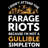 I didn’t attend the Farage Riots 16 in Basic Backpack
