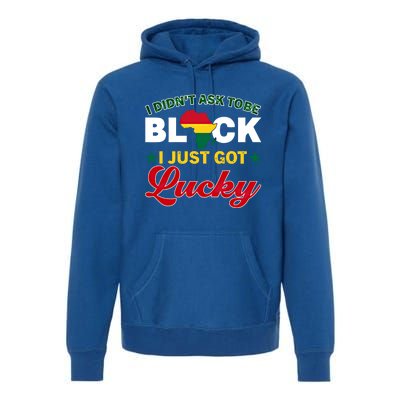 I Didn't Ask To Be Black I Just Got Lucky Black History Gift Premium Hoodie