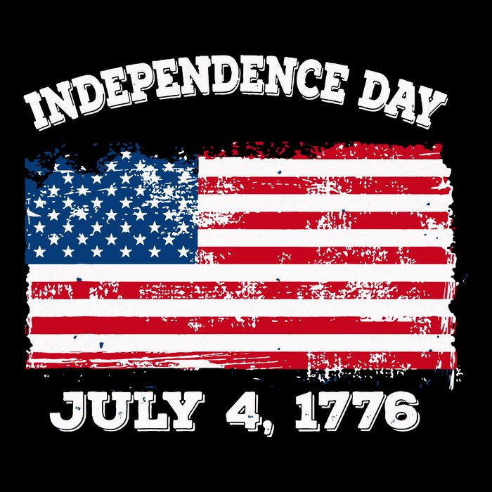 Independence Day American Flag Patriotic 1776 We The People Poster
