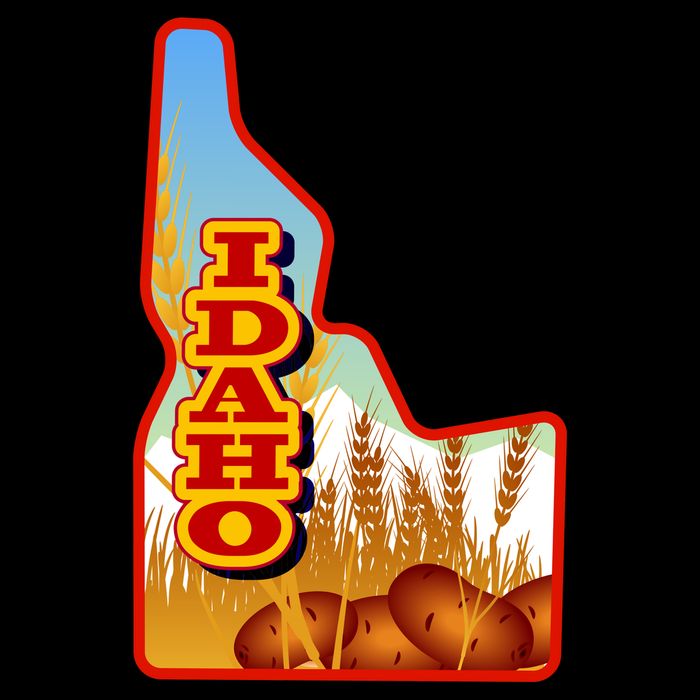 Idaho Potatoes State Outline T-Shirt