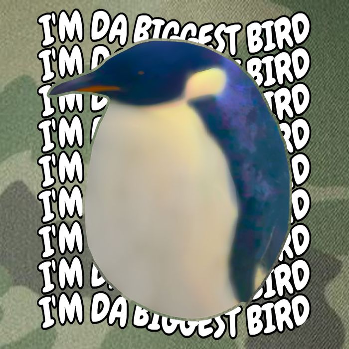 I'm Da Biggest Bird Meme For Bird Lovers Meme Enthusiasts Legacy Tie Dye Trucker Hat