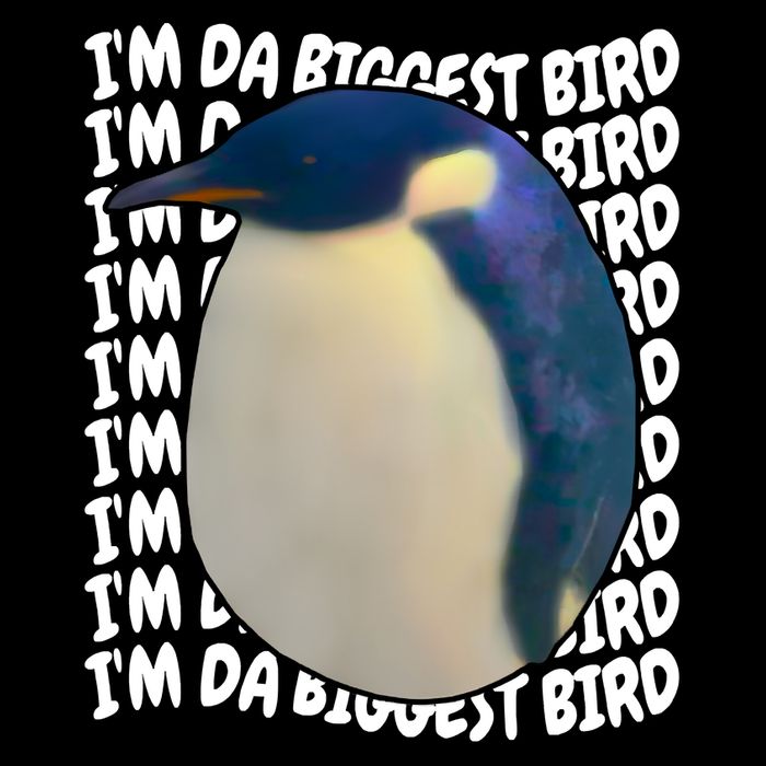 I'm Da Biggest Bird Meme For Bird Lovers Meme Enthusiasts 16 in Basic Backpack