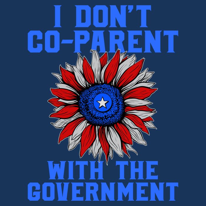 I Don't Co Parent With The Government T-Shirt