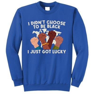 I Didn't Choose To Be Black I Just Got Lucky Black Gift Sweatshirt