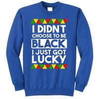 I Didnt Choose To Be Black I Just Got Lucky Love Black Pride Cool Gift Sweatshirt