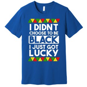 I Didnt Choose To Be Black I Just Got Lucky Love Black Pride Cool Gift Premium T-Shirt