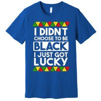 I Didnt Choose To Be Black I Just Got Lucky Love Black Pride Cool Gift Premium T-Shirt