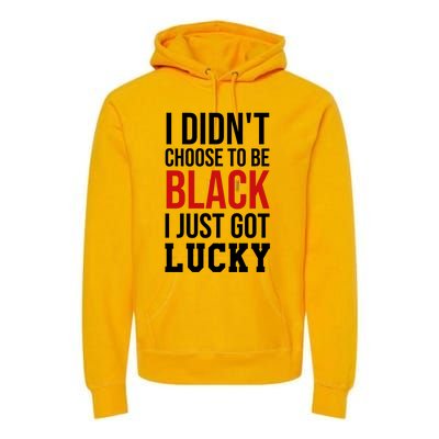 I Didn't Choose To Be Black I Just Got Lucky Gift Funny Gift Premium Hoodie