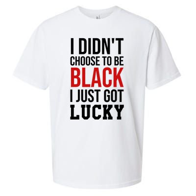 I Didn't Choose To Be Black I Just Got Lucky Gift Funny Gift Sueded Cloud Jersey T-Shirt