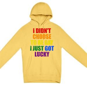 I Didn't Choose To Be Gay I Just Got Lucky Gift Premium Pullover Hoodie