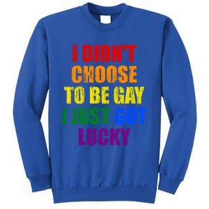 I Didn't Choose To Be Gay I Just Got Lucky Gift Sweatshirt