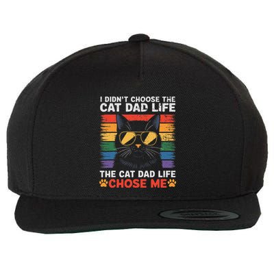 I DidnT Choose The Cat Dad Life The Cat Dad Life Chose Me Wool Snapback Cap
