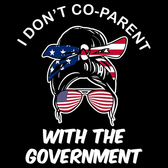 I Don't Co Parent With The Government Wool Snapback Cap
