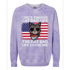 I DidnT Choose The Cat Dad Life The Cat Dad Life Chose Me Colorblast Crewneck Sweatshirt