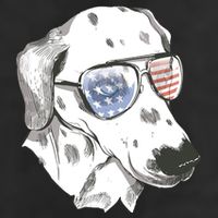 Independence Day Dalmatian Dog Adult Drive Performance Visor