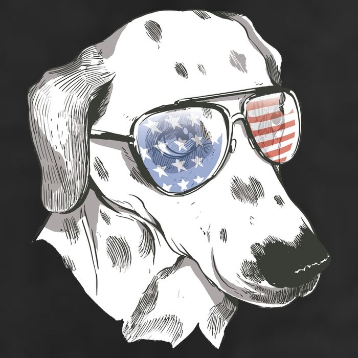 Independence Day Dalmatian Dog Adult Drive Performance Visor