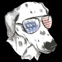 Independence Day Dalmatian Dog Sustainable Beanie