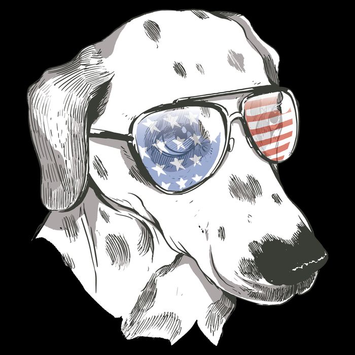 Independence Day Dalmatian Dog Sustainable Beanie