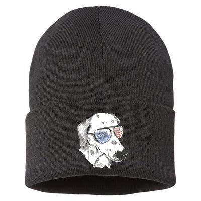 Independence Day Dalmatian Dog Sustainable Knit Beanie