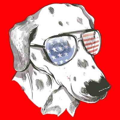 Independence Day Dalmatian Dog T-Shirt
