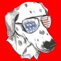 Independence Day Dalmatian Dog T-Shirt