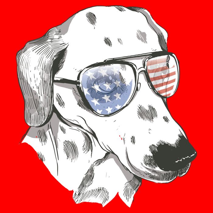 Independence Day Dalmatian Dog Polo