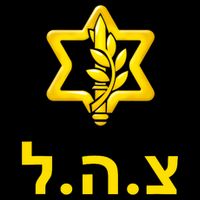 Israel Defense Forces New Logo Support Idf Tzahal Krav Maga 16 in Basic Backpack