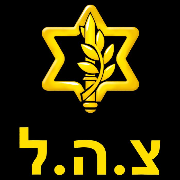 Israel Defense Forces New Logo Support Idf Tzahal Krav Maga 16 in Basic Backpack