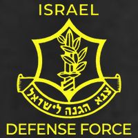 Israel Defense Force IDF  Adult Drive Performance Visor